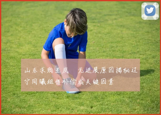 山东求购王岚嵚无进展原因揭秘辽宁同曦租借补偿成关键因素